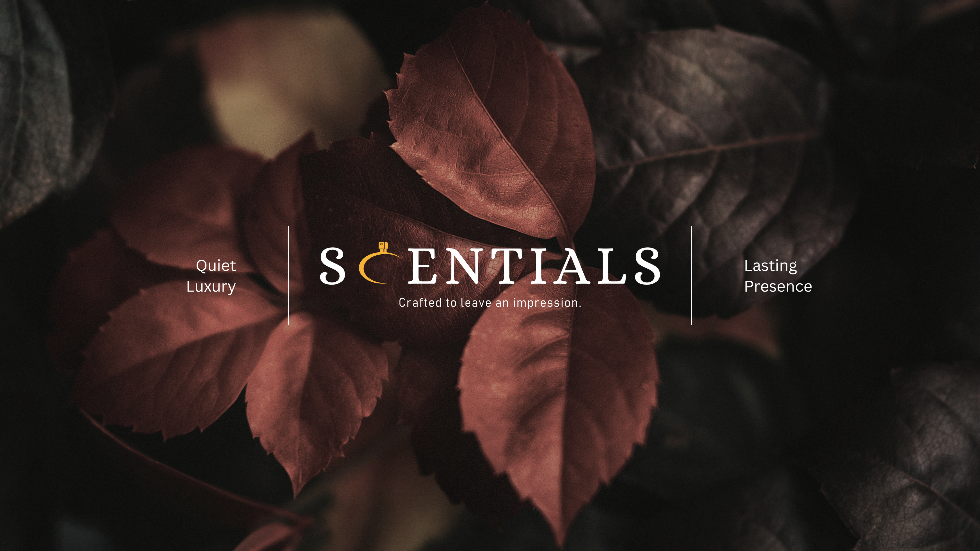 slider image 1621243260e1af0c20-0